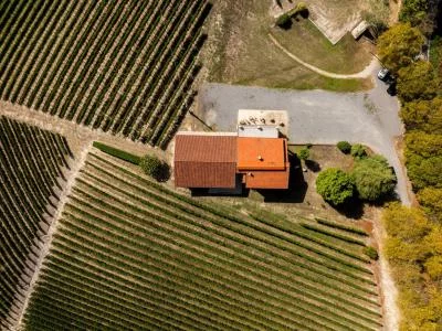 Thumbnail EXPÉRIENCE BADARINA : Dégustation de Barolos Badarina avec vue sur les Langhe à Serralunga d'Alba