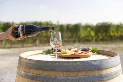 Thumbnail ESPERIENZA BADARINA: Degustazione di Barolo con vista sulle Langhe a Serralunga d'Alba