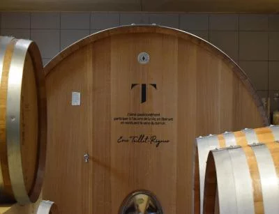 Thumbnail Visite et dégustation de 3 champagnes au domaine Eric Taillet
