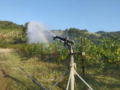 Thumbnail L'essenza di La Marmocchia: scopri il gusto del territorio