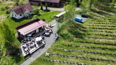 Thumbnail Cata de vinos de bayas exóticas en la bodega Kajabaca, en Finlandia