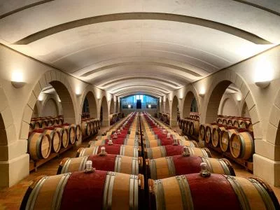 Thumbnail Visita y cata de vinos en Château Haut-Chaigneau