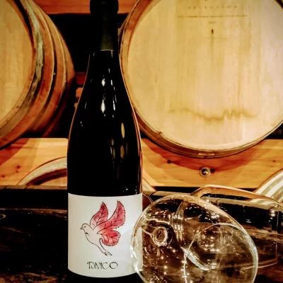 Thumbnail Organic Valais Wine Tasting at Cave Bridy in Savièse