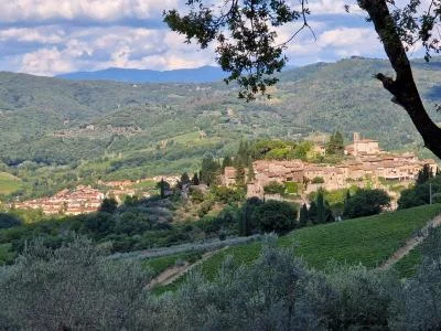 Thumbnail Tour Enologico in Toscana di un'intera giornata da Firenze o Siena: Borghi e Cantine
