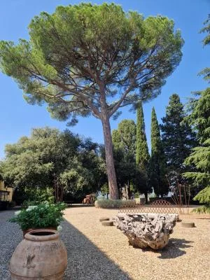 Thumbnail Full-Day Tuscany Wine Tour from Florence or Siena: Villages & Wineries