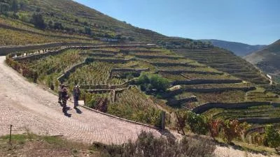 Thumbnail Tour Privado del Vino "Vinhateiro" del Valle del Duero desde Oporto