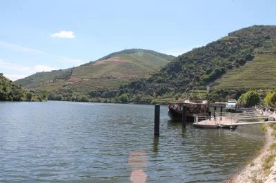 Thumbnail Private Douro Valley ‘Vinhateiro’ Wine Tour from Porto