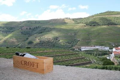 Thumbnail Private Douro Valley ‘Vinhateiro’ Wine Tour from Porto