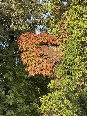 Thumbnail L’Esperienza di Degustazione “L’Eleganza in Rosso” a Tenuta La Piccola