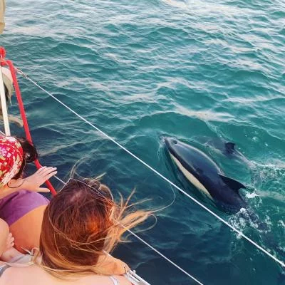 Thumbnail Catamarano VIP e vino portoghese - Tour privato a Lisbona