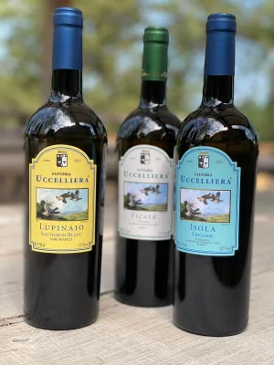 Thumbnail Incipit Weinerlebnis in der Fattoria Uccelliera