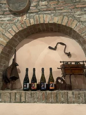 Thumbnail Origins Tour und Weinprobe auf der Tenuta La Piccola