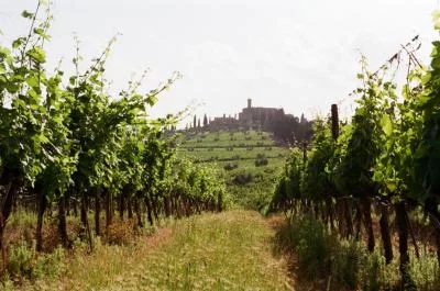 Thumbnail Excursion privée d'une journée à Montalcino au départ de Florence ou de Sienne