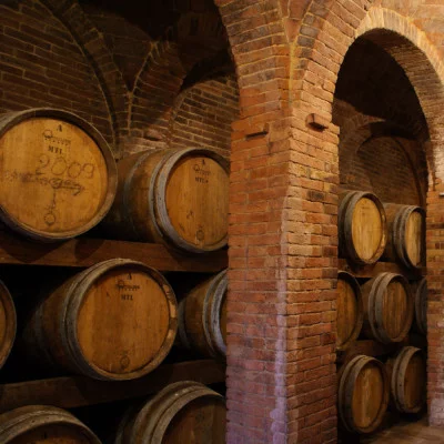 Thumbnail Wanderlust wine experience à la Fattoria Uccelliera