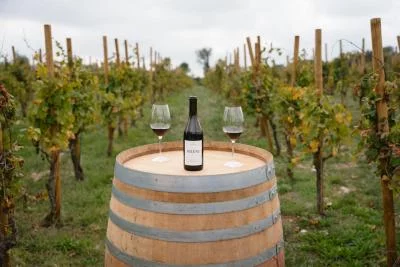 Thumbnail Exclusive Horse Riding Experience and Gourmet Wine Tasting at Clos de Basella