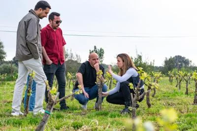 Thumbnail Exclusive Horse Riding Experience and Gourmet Wine Tasting at Clos de Basella