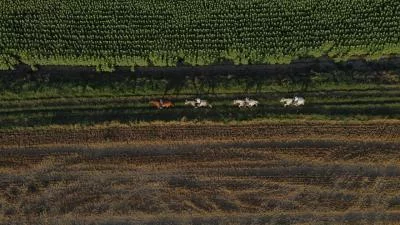 Thumbnail Exklusives Reiterlebnis und Weinprobe im Clos de Basella