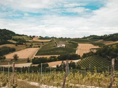 Thumbnail Underground Cave Visit with Food & Wine Tasting near Asti