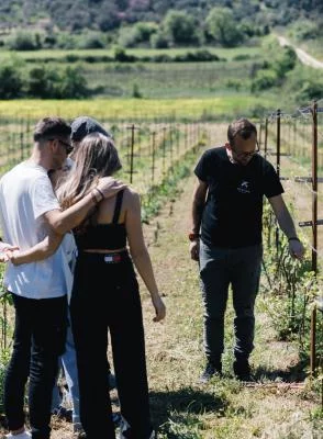 Thumbnail Premium Weinprobe auf dem Weingut Zervas in der Region Thesprotia