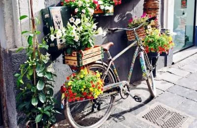 Thumbnail Degustazione di vino dell'Etna con assaggini locali a Catania