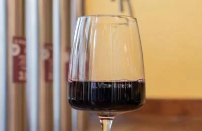 Thumbnail Dégustation de vin guidée avec accords alimentaires locaux à Livourne