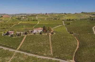 Thumbnail Degustazione di vini con stuzzichini a Neive, nel cuore delle Langhe
