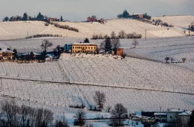 Thumbnail Wine Tasting with Snacks in Neive, the heart of Langhe