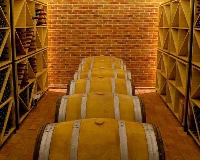Thumbnail Desde Durrës: Cata de vinos, raki y almuerzo tradicional albanés en la Bodega Abaia