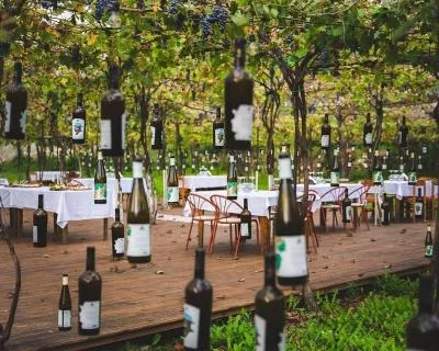 Thumbnail Desde Durres: Cata de vinos en la Bodega Alpeta