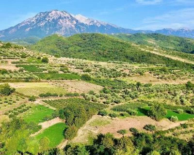 Thumbnail Excursion d'une journée à Berat et visite de la cave de Pupa avec dégustation et déjeuner au départ de Durrës