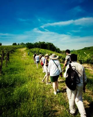 Thumbnail A Historic Day at Consorzio del Buttafuoco Storico at Oltrepò Pavese