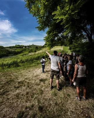 Thumbnail Une journée historique au Consorzio del Buttafuoco Storico à Oltrepò Pavese