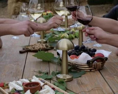 Thumbnail Experiencia de cata de vinos y raki albaneses en Hani i Qerosit