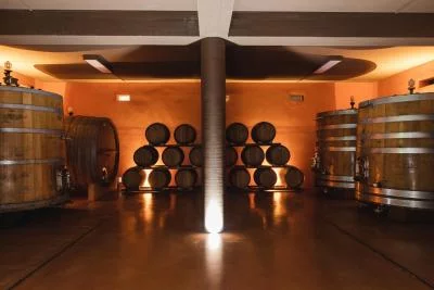 Thumbnail Col di Lamo Organic Boutique Classic Tour - Montalcino