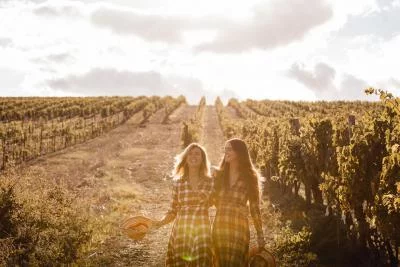 Thumbnail Excursión Clásica Boutique Ecológica Col di Lamo - Montalcino
