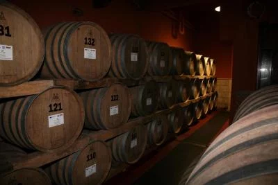 Thumbnail Weintour Falernum - der Wein der Kaiser bei der Società Agricola Nugnes