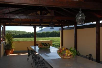 Thumbnail Wine Tour Falernum - il vino degli imperatori presso la Società Agricola Nugnes