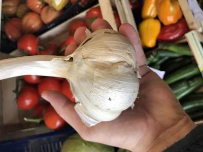 Thumbnail Die Kunst des Geschmacks: Gourmet-Wochenende mit Kochkurs & Übernachtung