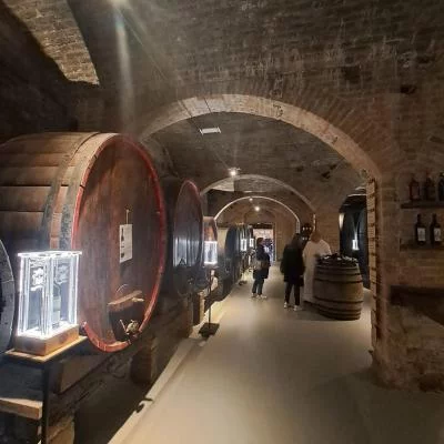 Thumbnail Visite de la célèbre abbaye toscane et dégustation de vin et d'huile d'olive à Asciano, Chianti