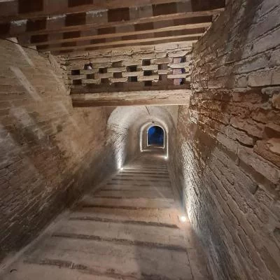 Thumbnail Visita a la Famosa Abadía Toscana y Cata de Vino y Aceite de Oliva en Asciano, Chianti