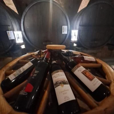 Thumbnail Visita a la Famosa Abadía Toscana y Cata de Vino y Aceite de Oliva en Asciano, Chianti