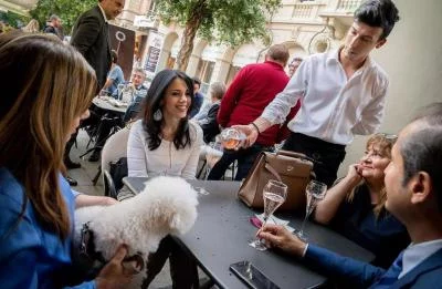 Thumbnail Luxuriöse Weinprobe mit Finger Foods in der Innenstadt von Alba