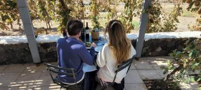 Thumbnail Tour Privado de Vinos de Santorini con Almuerzo