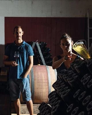 Thumbnail Degustazione privata di 3 vini con prodotti locali alla Cantina Gentili a Caprino Veronese