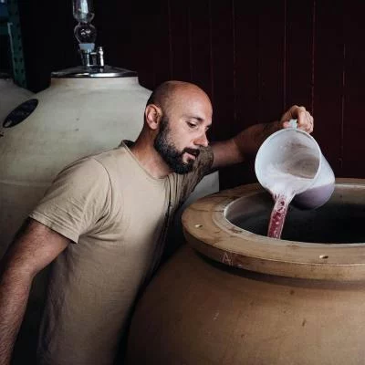 Thumbnail Degustazione privata di 3 vini con prodotti locali alla Cantina Gentili a Caprino Veronese