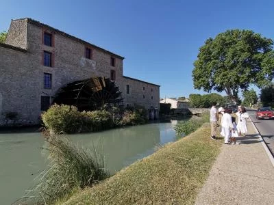 Thumbnail Vino e fascino del Luberon: Esplora i sapori del sud da Marsiglia