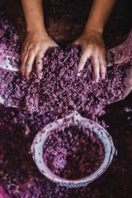 Thumbnail Col di Lamo Organic Boutique Exclusive Experience in Montalcino