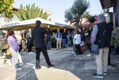 Thumbnail Iconic Wine Tasting and Winery Tour at Avantis Estate