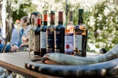 Thumbnail Taste 10 Georgian wines, including qvevri selections, at a family winery in Kakheti