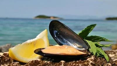Thumbnail Ksamil Sailing Experience con Mejillones Frescos y Vino Albanés
